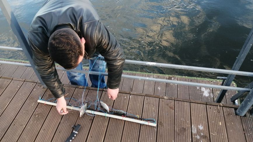 У тернопільському ставі на території парку «Загребелля» незаконно виловлювали рибу