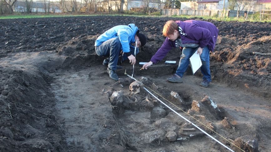 На Тернопільщині випадково виявили скіфське поховання VІ століття до нашої ери