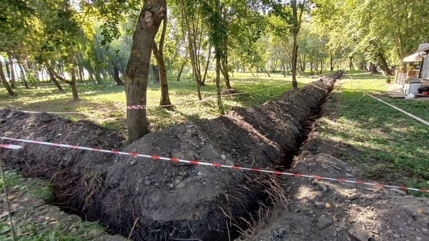 У парку Сопільче копали траншею та пошкодили коріння дерев: ми дізналися подробиці