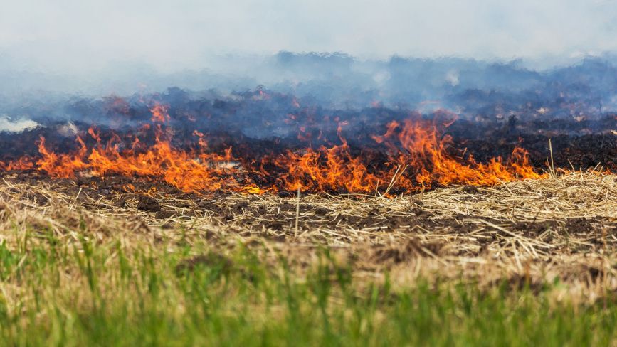 За спалення трави жителям Тернопільщьни загрожує штраф —  мінімум 3000 грн