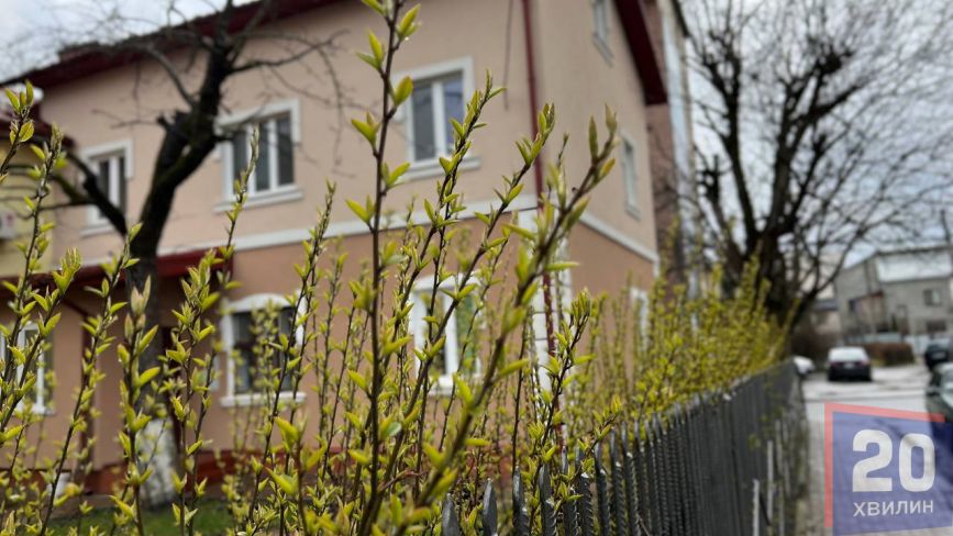 Весняний Тернопіль у деталях: фоторепортаж