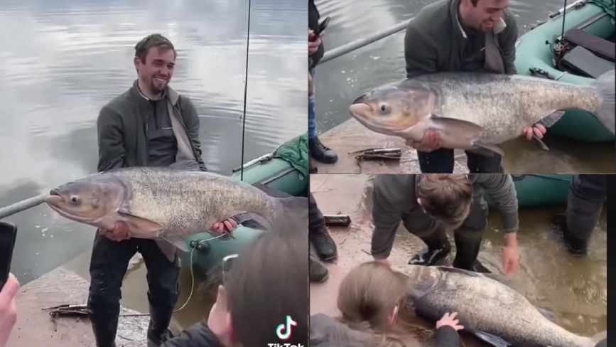Риба-монстр: на Тернопільському ставі впіймали товстолоба-гіганта