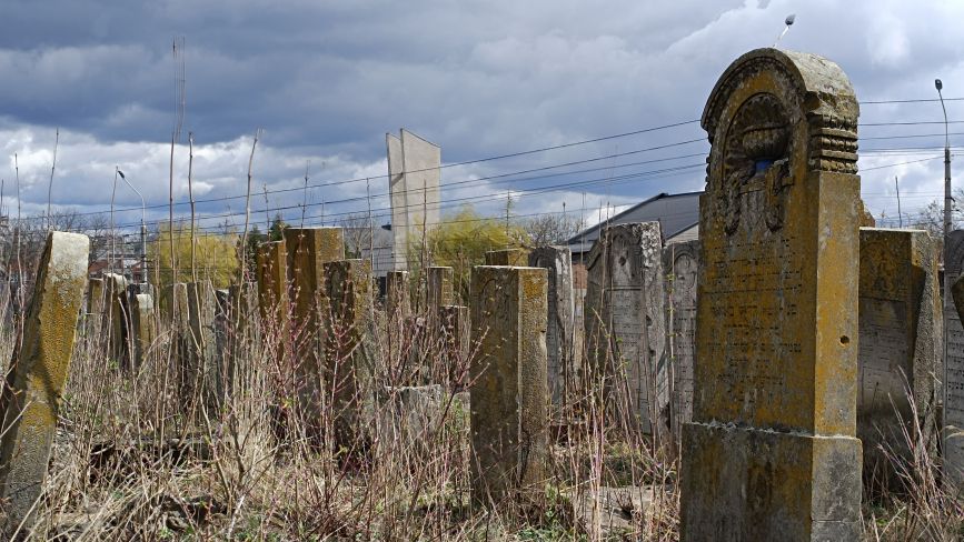 Понищені пам’ятники, сміття та зарослі: у якому стані єврейський цвинтар у Тернополі