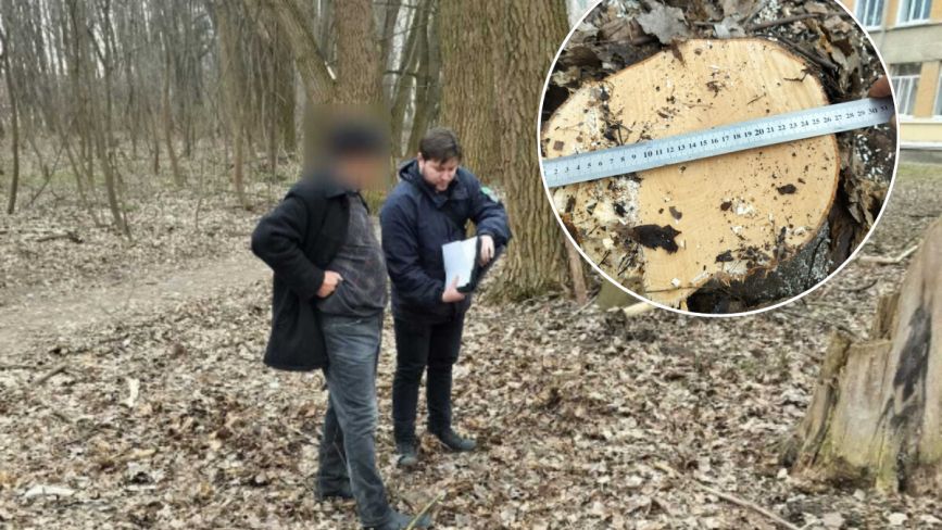 На Винниченка представник релігійної організації видалив 50 дерев