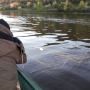 На Тернопільщині браконьєри сітками виловлювали рибу з річки Серет