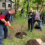 «1 мільйон дерев за 24 години»: Тернопіль долучився до всеукраїнського флешмобу