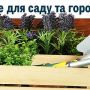 Де у Тернополі купити насіння, садженці та добрива для саду та городу