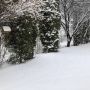 Тернопільщину засипало снігом: яка ситуація у різних районах? Додавайте свої фото