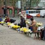 Розмаїття барв у центрі міста: які квіти можна купити на вулиці? (ФОТО ДНЯ)