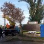 У Тернополі демонтують три кіоски на проспекті Злуки