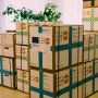 Фонд ООН передав у тернопільський пологовий 1,5 тонни медичних засобів