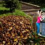 Тернопіль викидає, а інші збагачуються: де опиняється опале листя з вулиць Тернополя