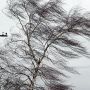 18 січня на Тернопільщині оголошено штормове попередження