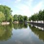 Петиція про відновлення меж парку Шевченка у Тернополі набрала необхідну кількість голосів