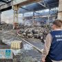 Покуратура розслідує злочини війни внаслідок ракетних обстрілів Тернопільщини