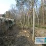 2 мільйони гривень збитків: лісника звинувачують у незаконній рубці дерев у «Дністровському каньйоні»