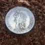 На Тернопільщині знайшли старовинну монету з Нідерландів