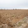 На Тернопільщині повертають понад 120 гектарів незаконно переданої землі на 20 мільйонів