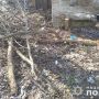 У ландшафтному парку «Загребелля» незаконно зрубали дерева