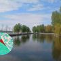 На Білецькій хочуть зробити паркінг. А петицію про збереження площі парку Шевченка взяли до відома