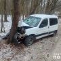 Неподалік Теребовлі п'яний водій в'їхав в дерево
