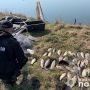 У Тернопільському районі рибалка-порушник виловив 38 карасів