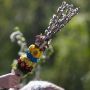 Штормове попередження оголосили на Тернопільщині: якою буде погода на Вербну неділю