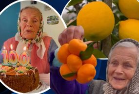 Баба Оля з Тернопільщини вирощує мандарини серед зими, ділиться рецептами та має 100-тисячний TikTok