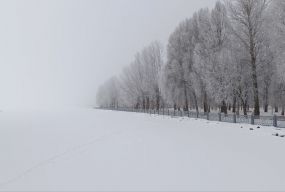 Не видно берега. Тернопільський став накрив густий туман