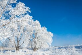 До 22 морозу принесе початок лютого на Тернопільщину