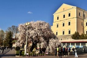 Таємниці замку і велич Катедри: у Тернополі стартує сезон травневих екскурсій