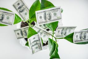 Долар по 45 гривень: курс валют в банках та обмінниках на 9 червня