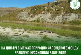 Дністер міліє, а в межах заповідника незаконно забирали воду з річки
