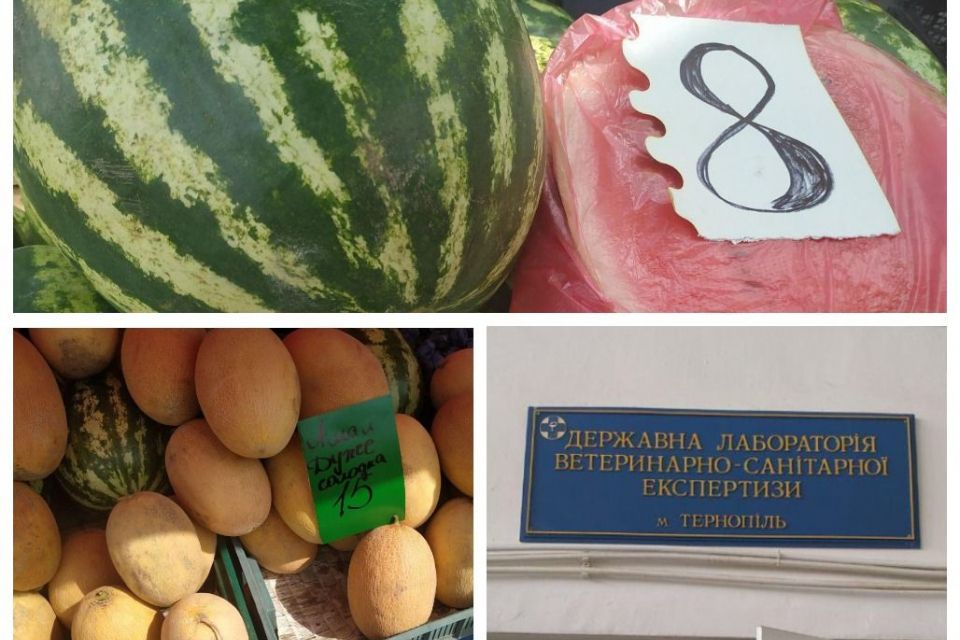 Нітрати на межі допустимого. Чи безпечні кавуни та дині, які продають на ринку: ми перевірили для вас
