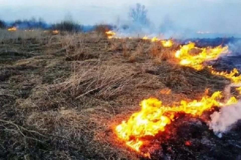 У Тернополі запрацюють мобільні групи, які ловитимуть паліїв трави. Що загрожує порушникам