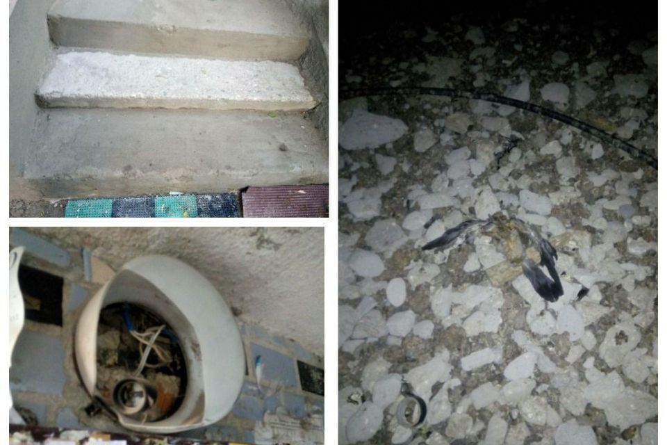 «За що ми платимо»: мешканці будинку на Тролейбусній скаржаться на неналежну роботу ЖЕКу