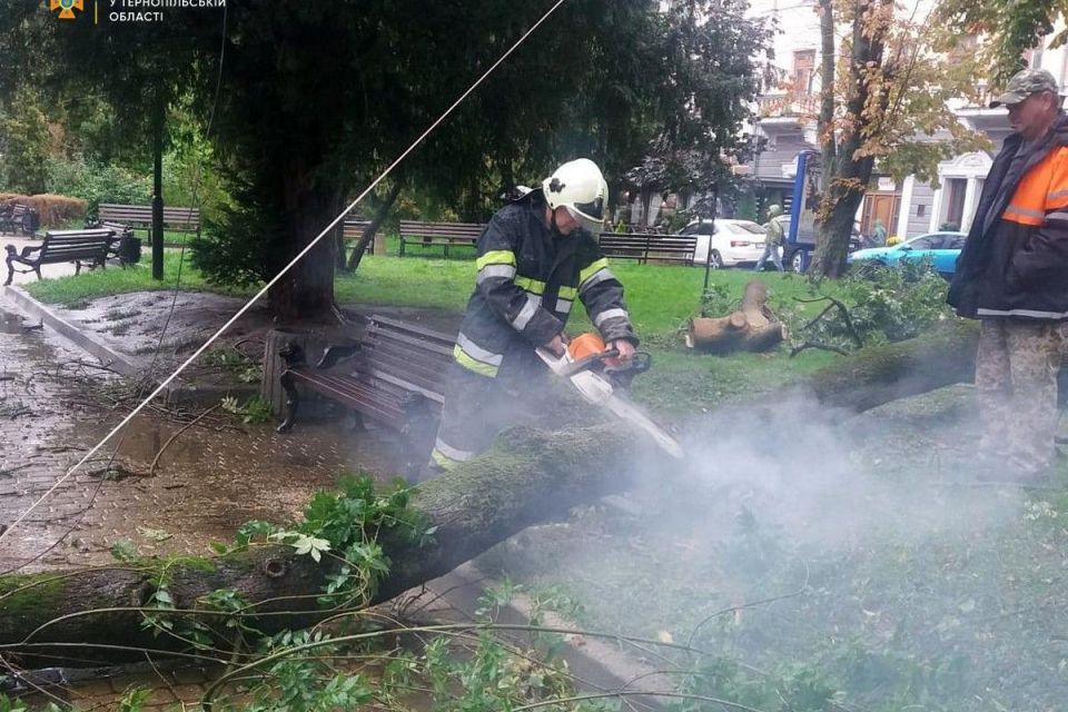 Підтопило підвали і повалило дерева: у Тернополі та області ліквідовують наслідки негоди