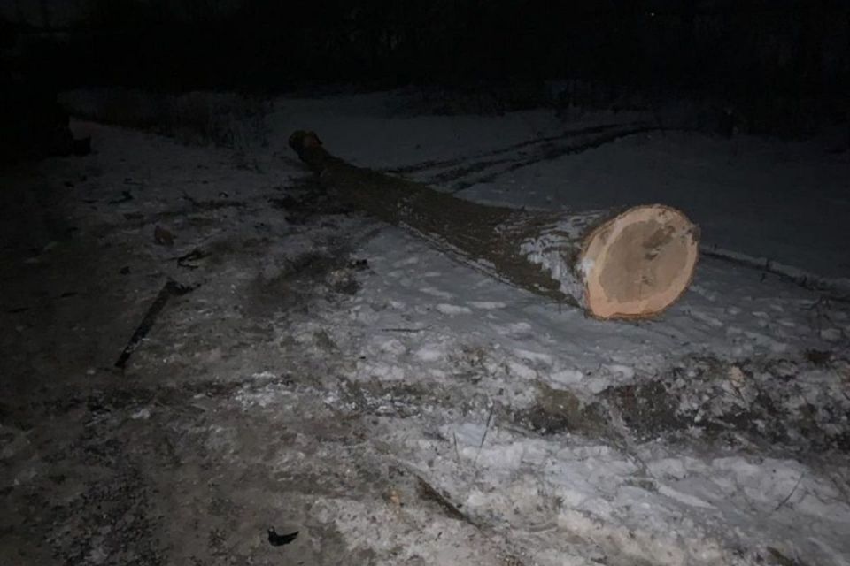 У ДТП неподалік села Малий Ходачків потрапив бус з пасажирами: постраждалих забрала швидка