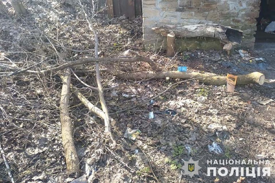У ландшафтному парку «Загребелля» незаконно зрубали дерева