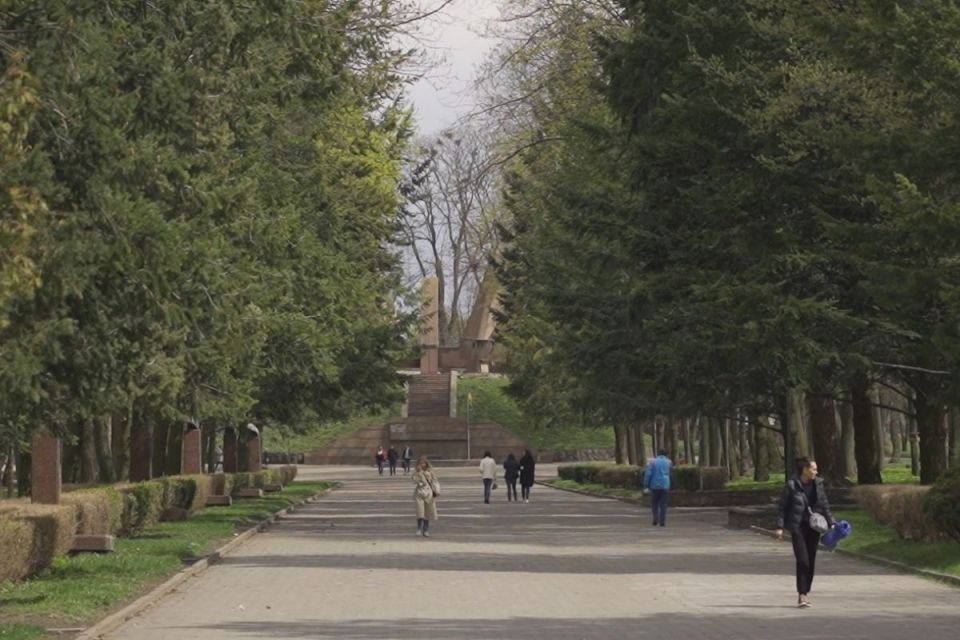 У Старому парку зрізатимуть сухі великі дерева