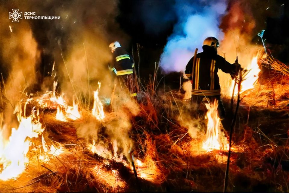 Горить навіть взимку: дві масштабні пожежі сухої трави гасили на Тернопільщині