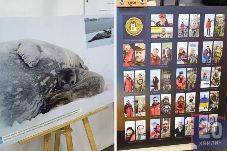 Вражені навіть іноземці. Уперше в Тернополі представили виставку світлин про Антарктику