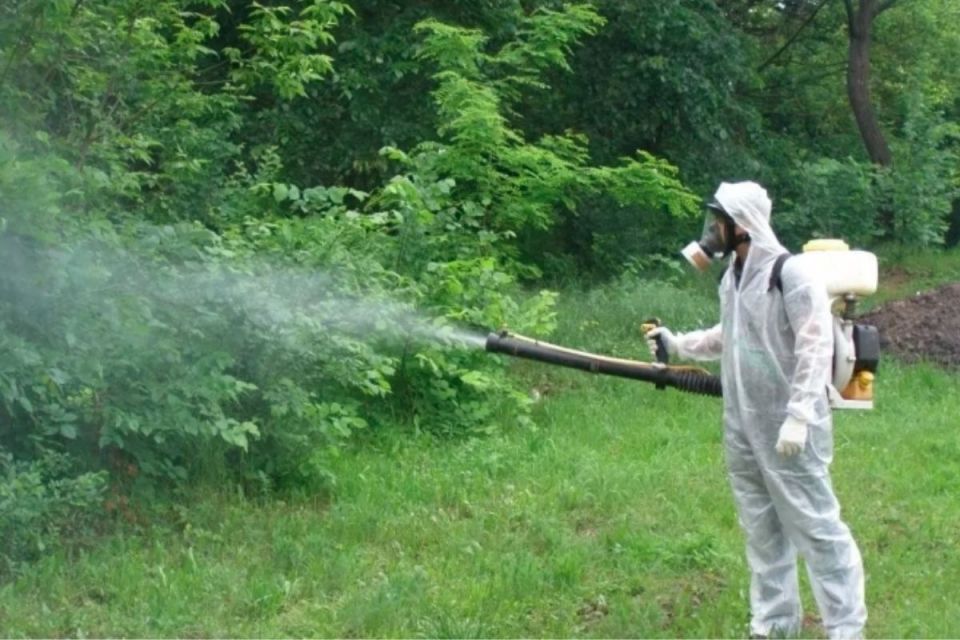 Обробку від кліщів проведуть у парку Сопільче