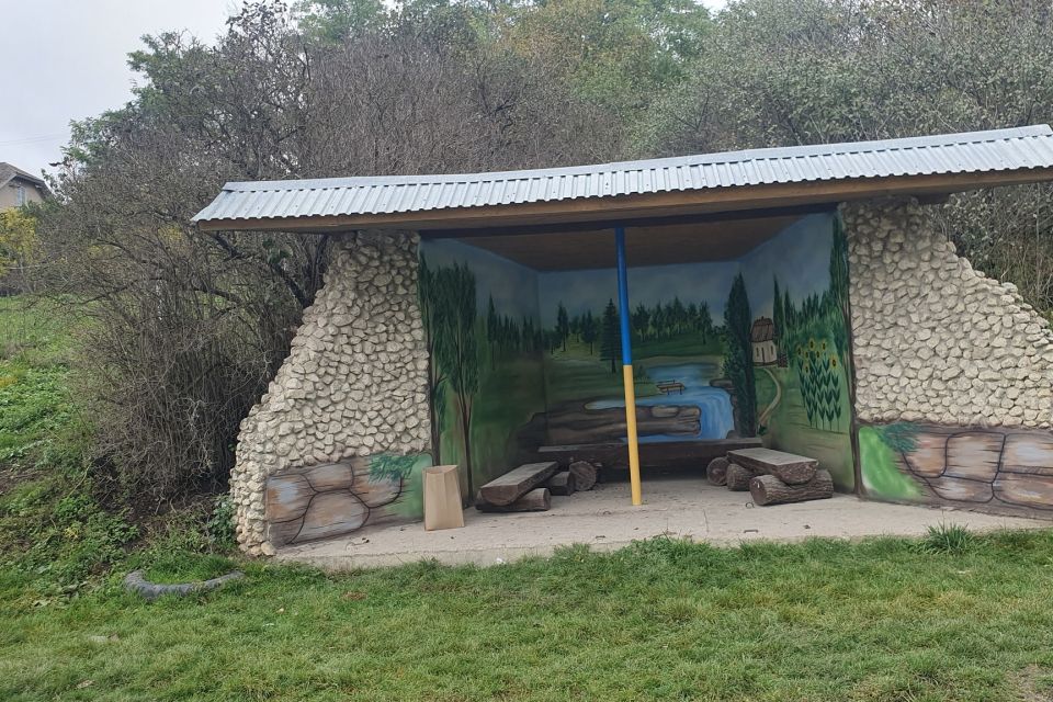 15-річна художниця перетворила автобусну зупинку в селі на витвір мистецтва: неймовірна робота