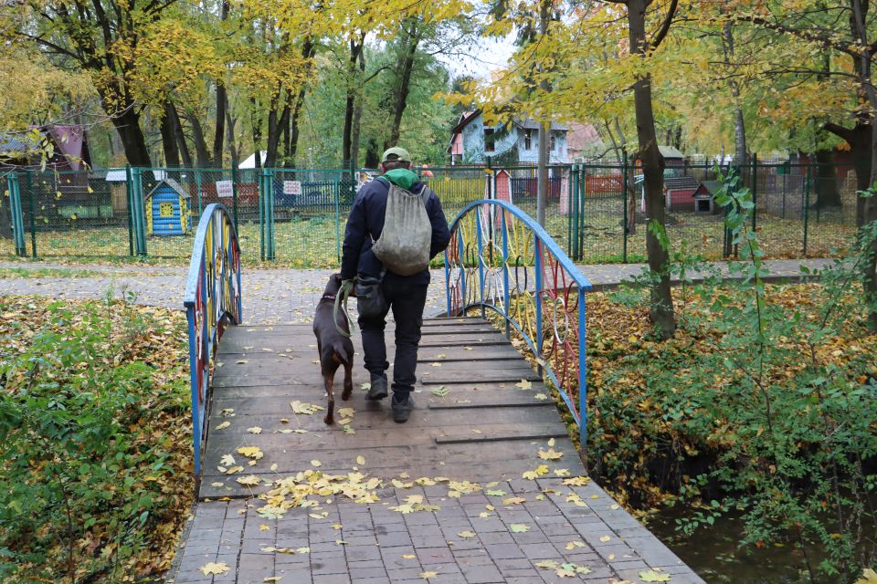 У парку «Сопільче» відремонтують міст біля звіринця: скільки планують витратити