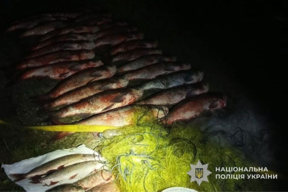 У Байківцях затримали тернополянина, який наловив 250 кілограм риби