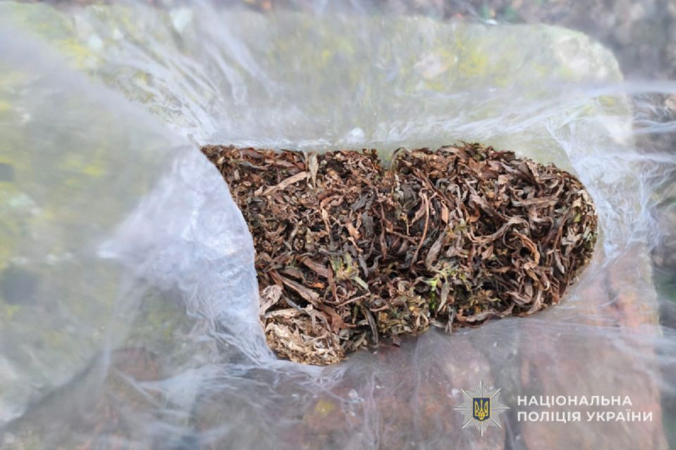 У Чортківському районі викрили два факти незаконного обігу наркотиків