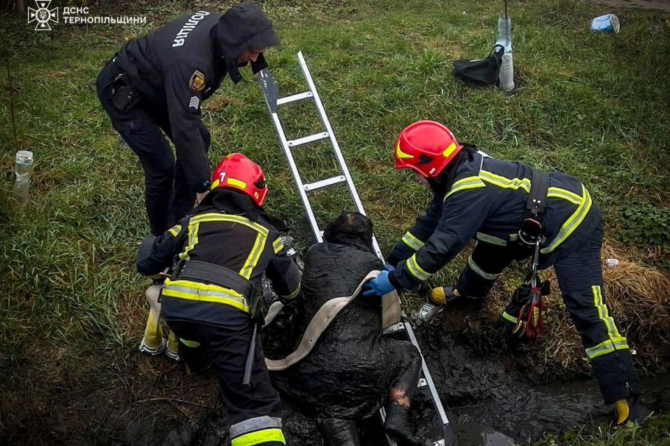 Жителька Бережан впала у двометрову канаву і не могла вибратись