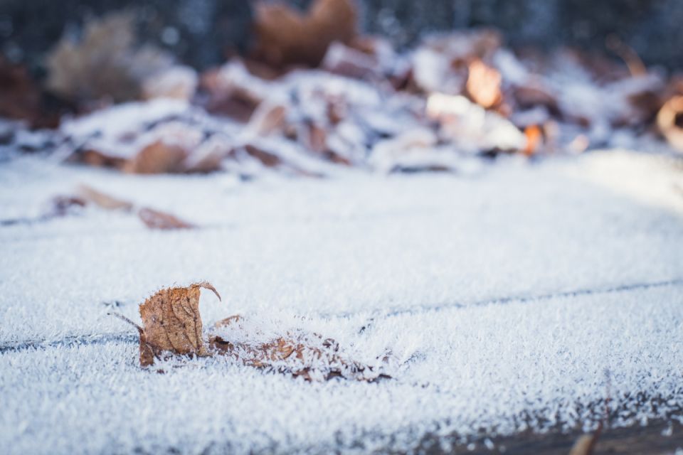 Тернополян та мешканців області попереджають про дощі та мокрий сніг