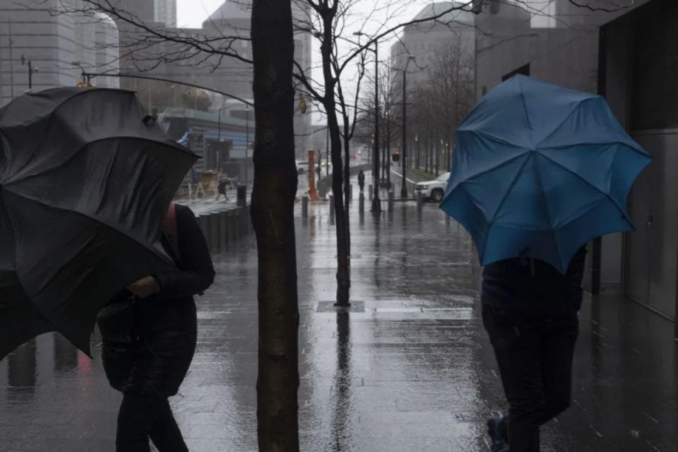 Дощ та туман прогнозують на Тернопільщині у найближчі дні